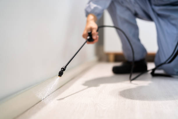 Bed Bug Pre-Treatment Preparation Assessment in Anniston