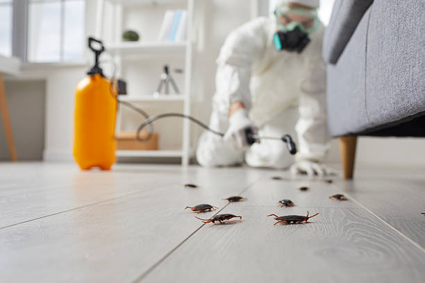 Post-Treatment Bed Bug Interceptor Monitoring in Anniston
