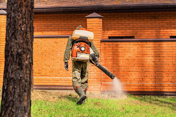 Bed Bug Clearance Verification and Documentation in Anniston